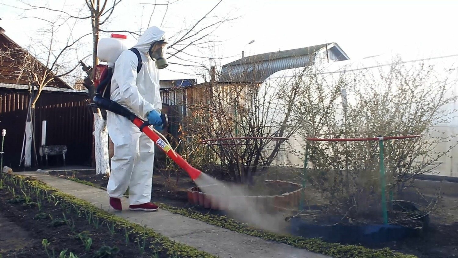 ФОТО Уничтожение муравьёв в поселке Московской области Развилка