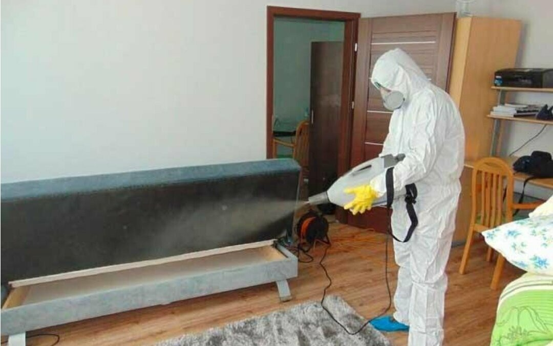 ФОТО Уничтожение блох в поселке Московской области Развилка