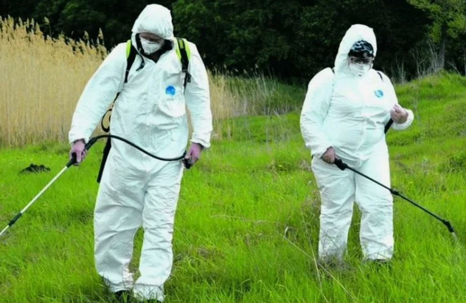 ФОТО Обработка от клещей в поселке Московской области Развилка