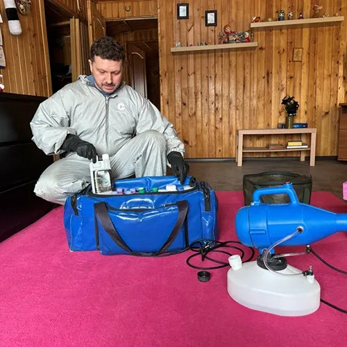 ФОТО Дератизация в поселке Московской области Развилка