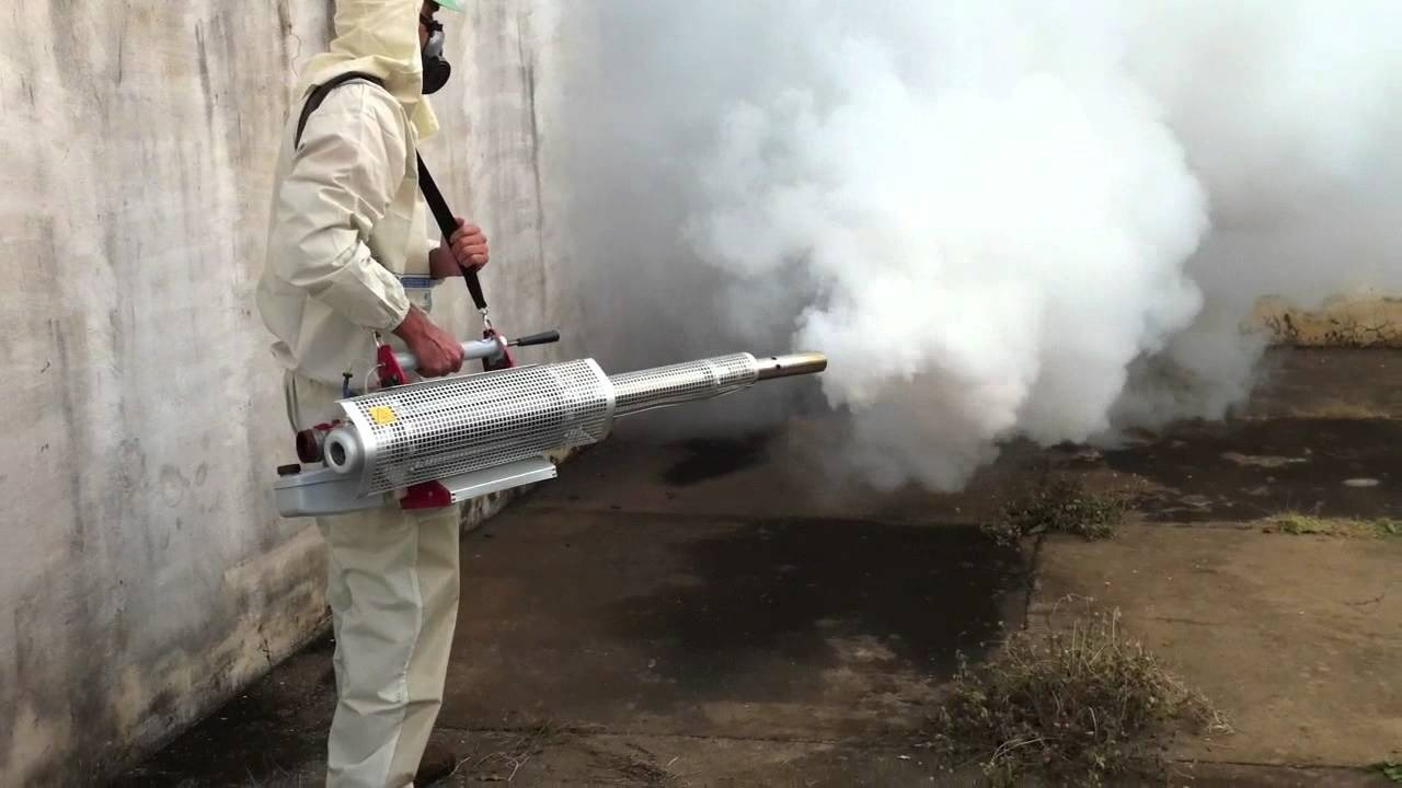 ФОТО Уничтожение мух в поселке Московской области Развилка