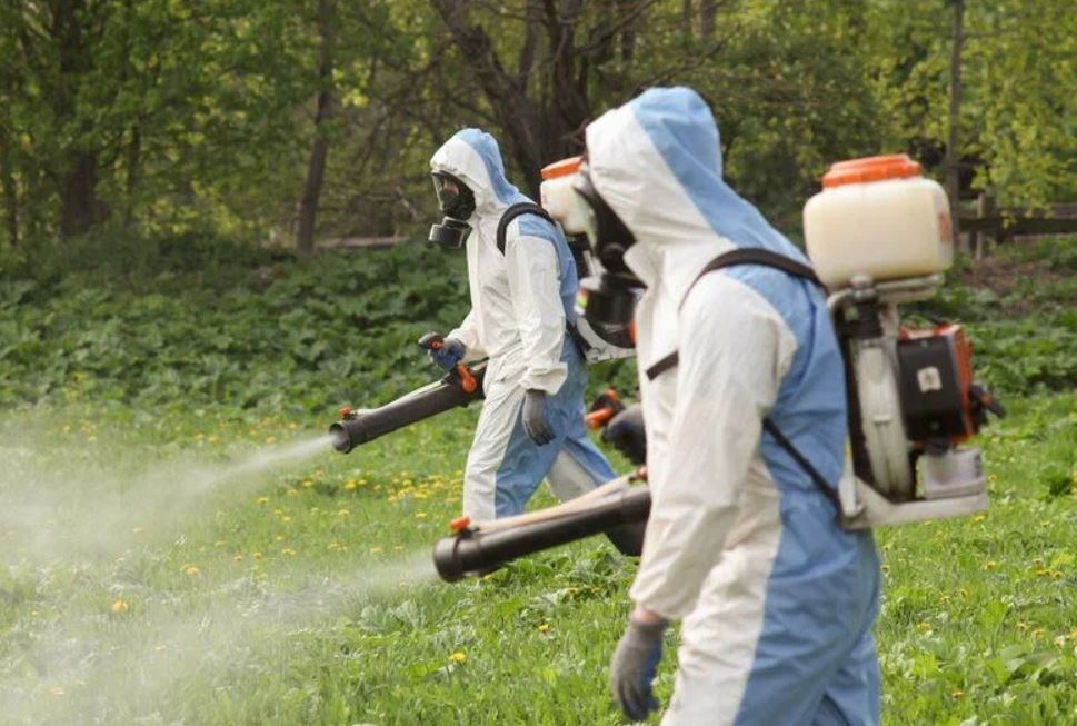 ФОТО Что такое дезинсекция в поселке Московской области Развилка? | подробно