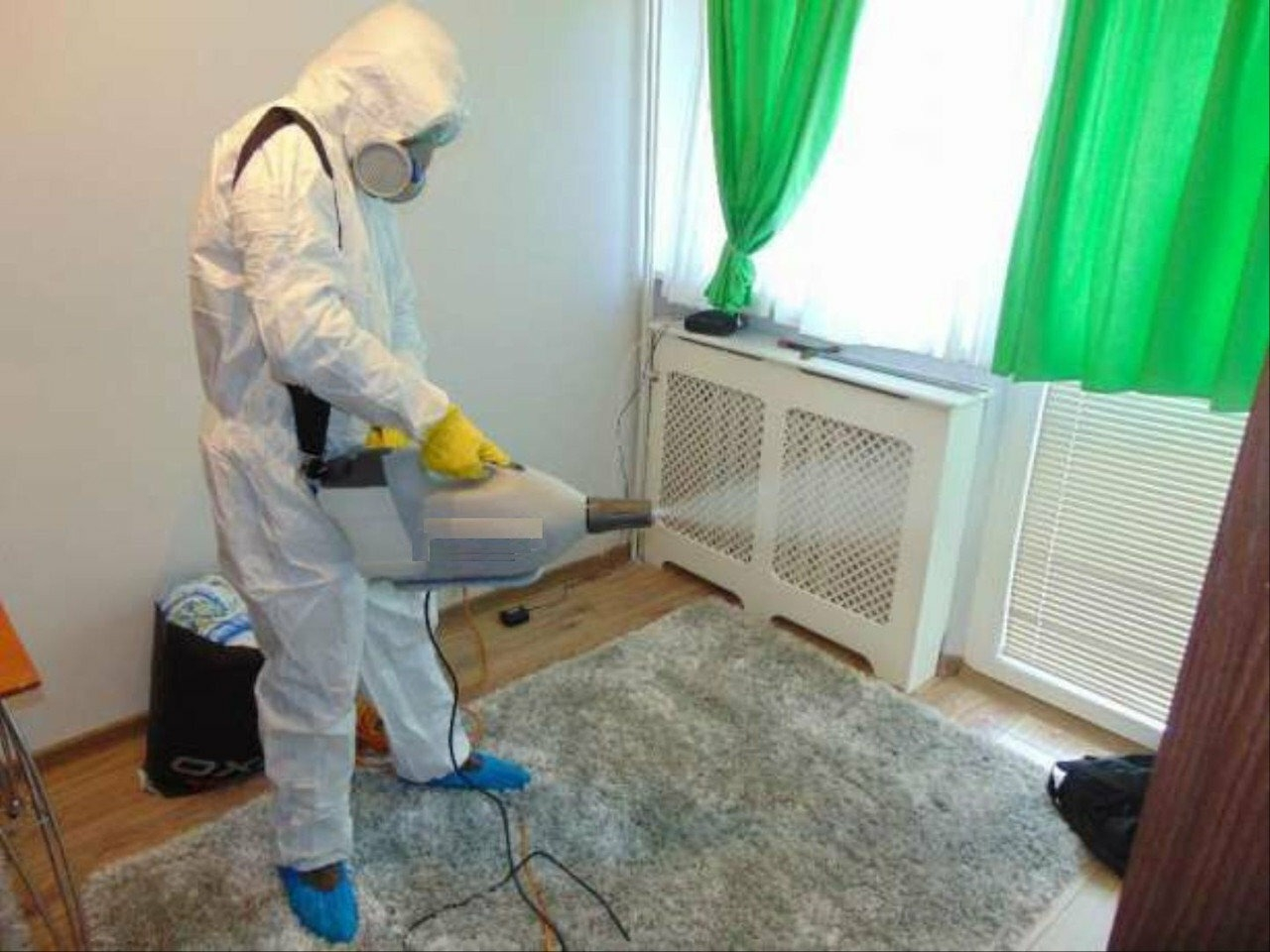 ФОТО Сколько времени занимает обработка при дезинсекции в поселке Московской области Развилка? | подробно