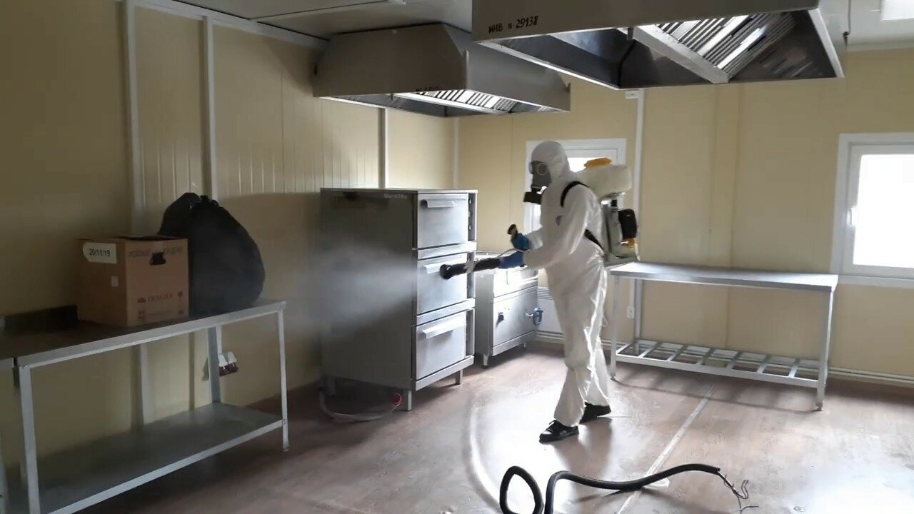 ФОТО Можно ли провести дезинсекцию самостоятельно и какие существуют риски в поселке Московской области Развилка? | подробно