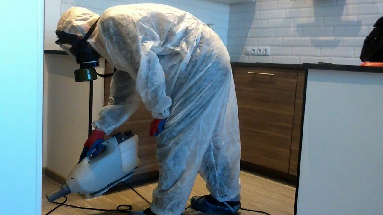 ФОТО Как подготовить домашних животных к обработке от насекомых в поселке Московской области Развилка? | подробно