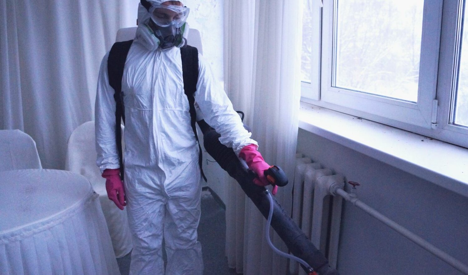 ФОТО Нужно ли выносить растения при дезинсекции в поселке Московской области Развилка? | подробно