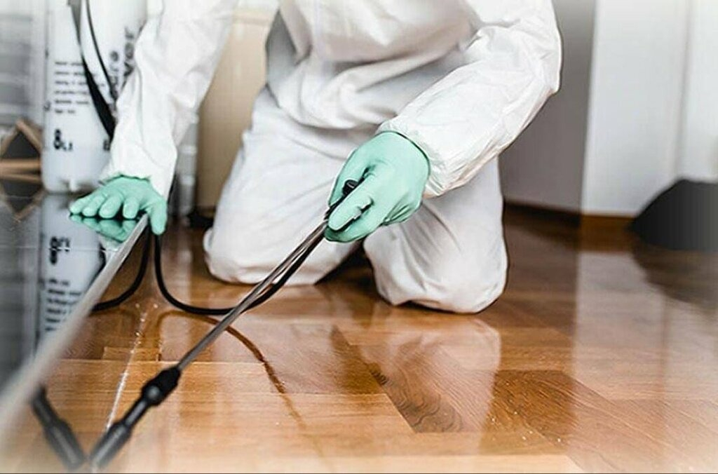 ФОТО Как подготовить вентиляцию при предстоящей дезинсекции в поселке Московской области Развилка?