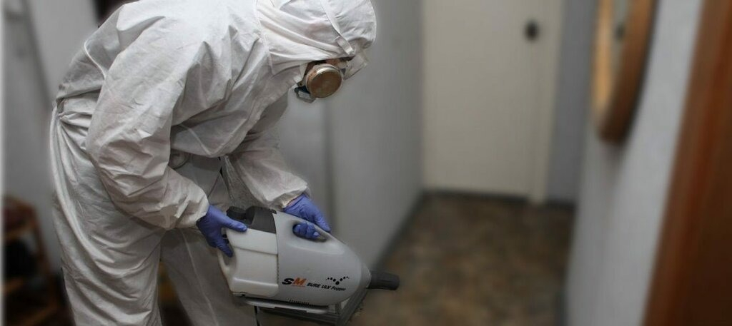 ФОТО Остаются ли следы после обработки квартиры от насекомых в поселке Московской области Развилка? | подробно