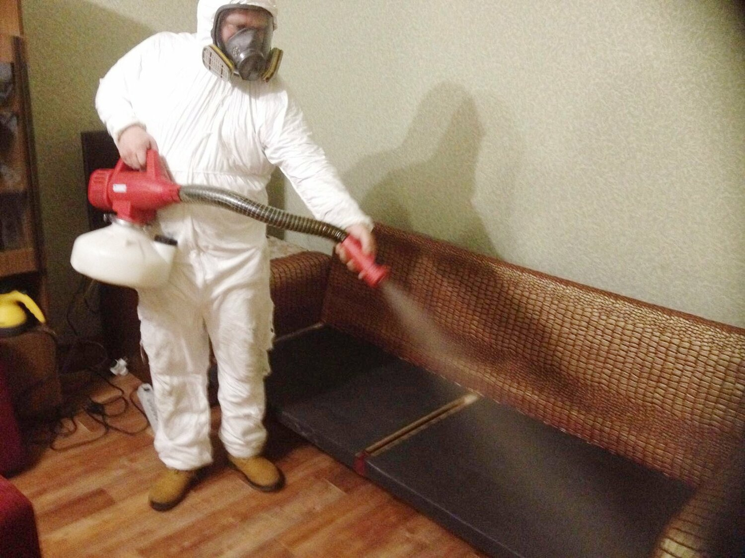 ФОТО Когда можно вернуться в помещение после дезинсекции в поселке Московской области Развилка? | подробно