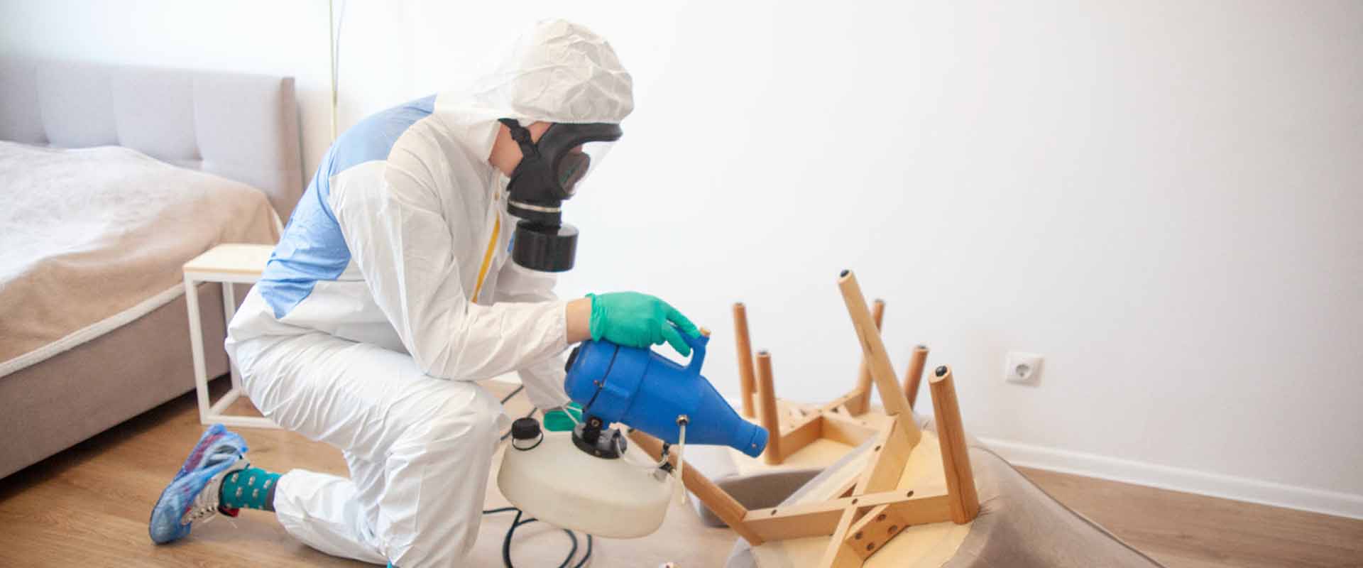 фото: Уничтожение постельных клопов с 1-го раза с гарантией за 30-60 мин. в поселке Московской области Развилка без предоплаты