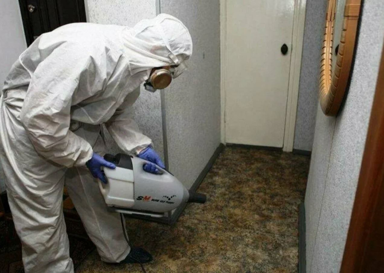 фото: Профессиональная дезинсекция в поселке Московской области Развилка: <br/>+7-909-173-42-96